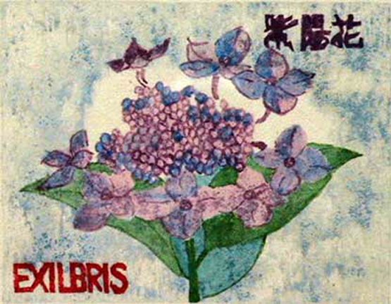 photo10.jpg