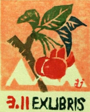 photo3.jpg