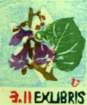 photo4_small.jpg