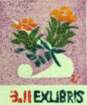 photo7_small.jpg