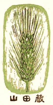 photo3.jpg