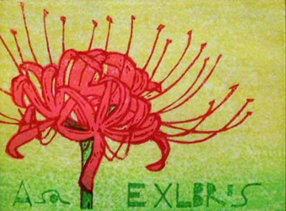 photo21.jpg