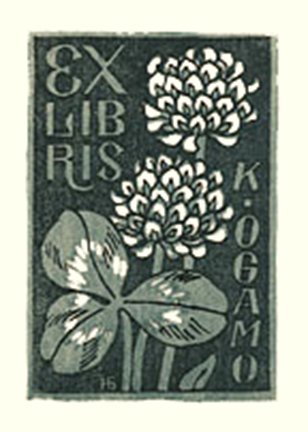 photo28.jpg