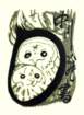 photo16_small.jpg