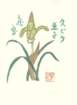 photo33_small.jpg
