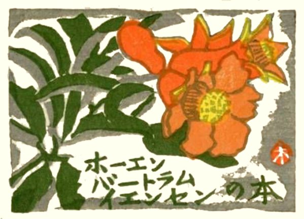 photo40.jpg