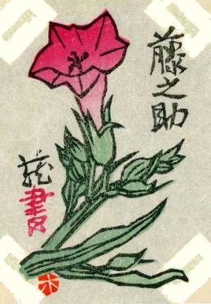 photo45.jpg