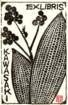 photo56_small.jpg