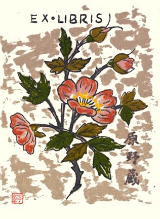 photo12.jpg