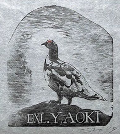 photo19.jpg