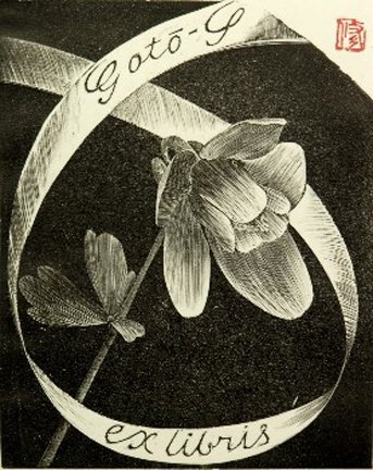 photo20.jpg