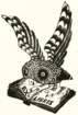 photo4_small.jpg