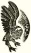 photo5_small.jpg