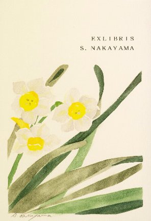 photo16.jpg