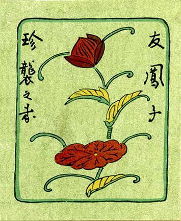 photo29.jpg