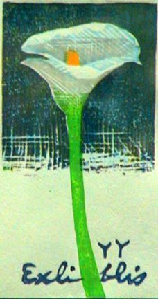 photo36.jpg