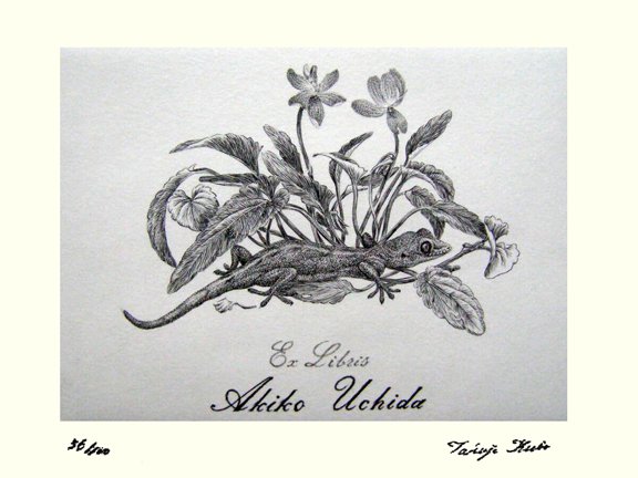 photo26.jpg