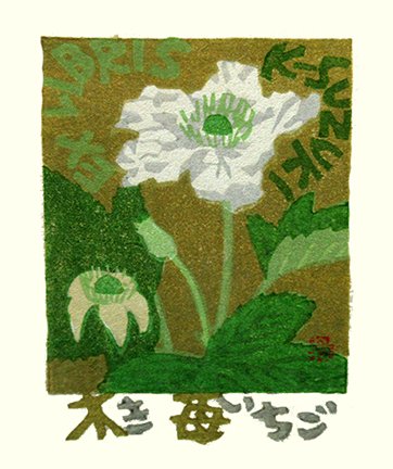 photo29.jpg