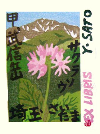 photo33.jpg