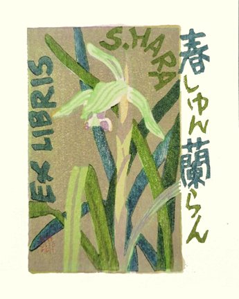 photo37.jpg