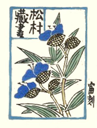 photo21.jpg