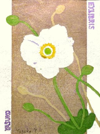 photo15.jpg