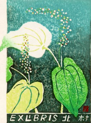 photo16.jpg