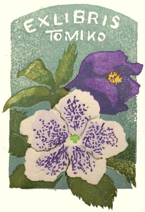 photo6.jpg
