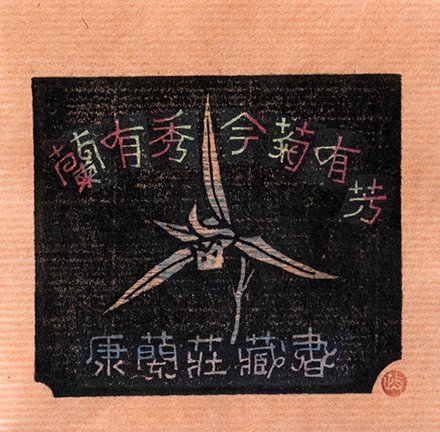 photo8.jpg