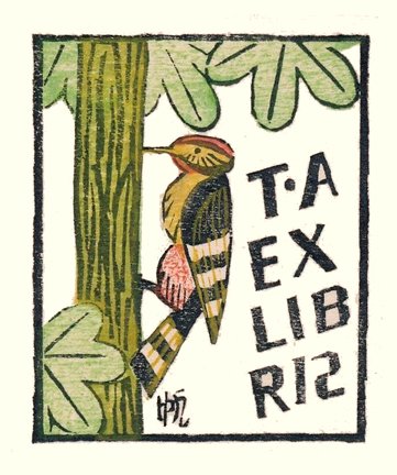 photo22.jpg