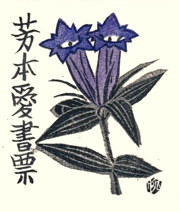 photo25.jpg
