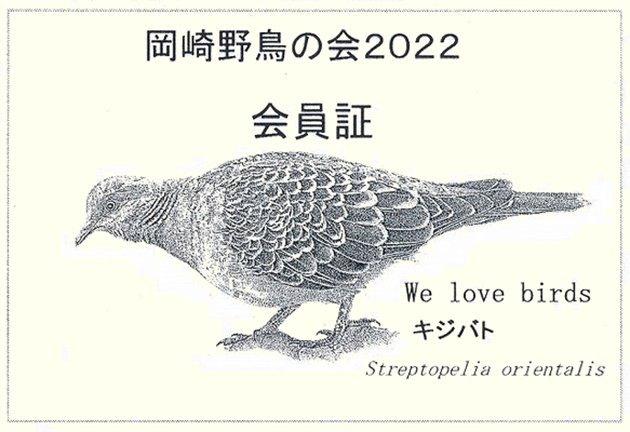 photo3.jpg