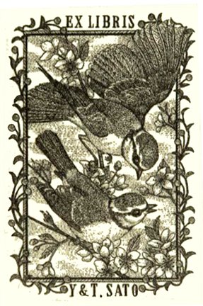 photo48.jpg