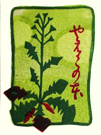 photo86.jpg