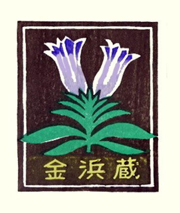 photo8.jpg
