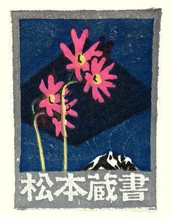 photo12.jpg