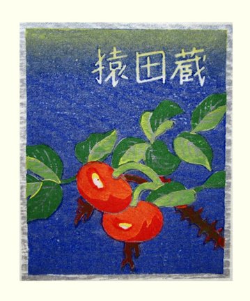 photo23.jpg