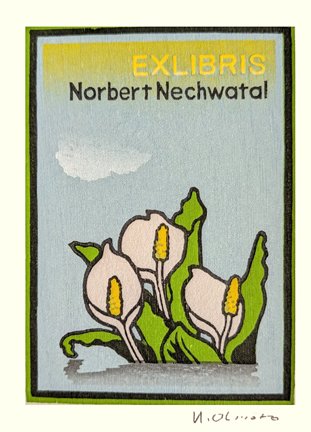 photo26.jpg