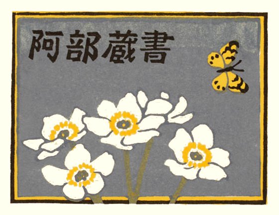 photo7.jpg