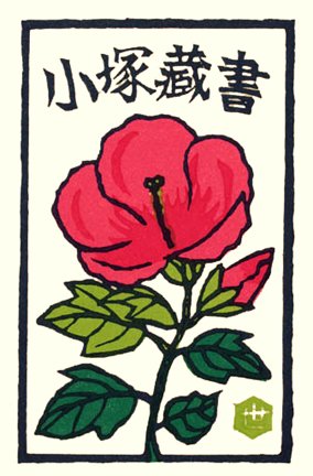 photo13.jpg
