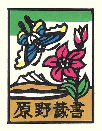 photo20.jpg