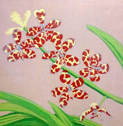photo17.jpg
