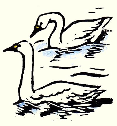 photo42.jpg