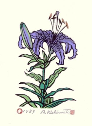 photo6.jpg