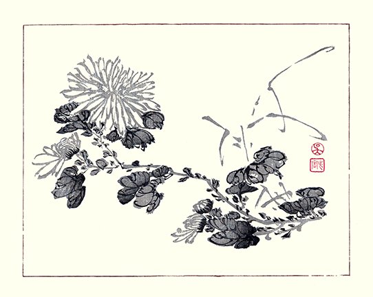 photo6.jpg