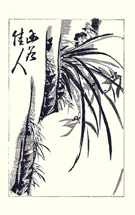 photo13.jpg