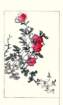 photo20_small.jpg