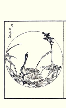 photo36.jpg