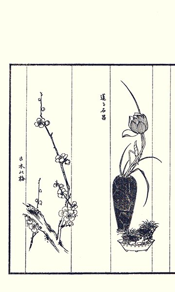 photo38.jpg