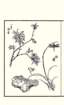 photo21_small.jpg